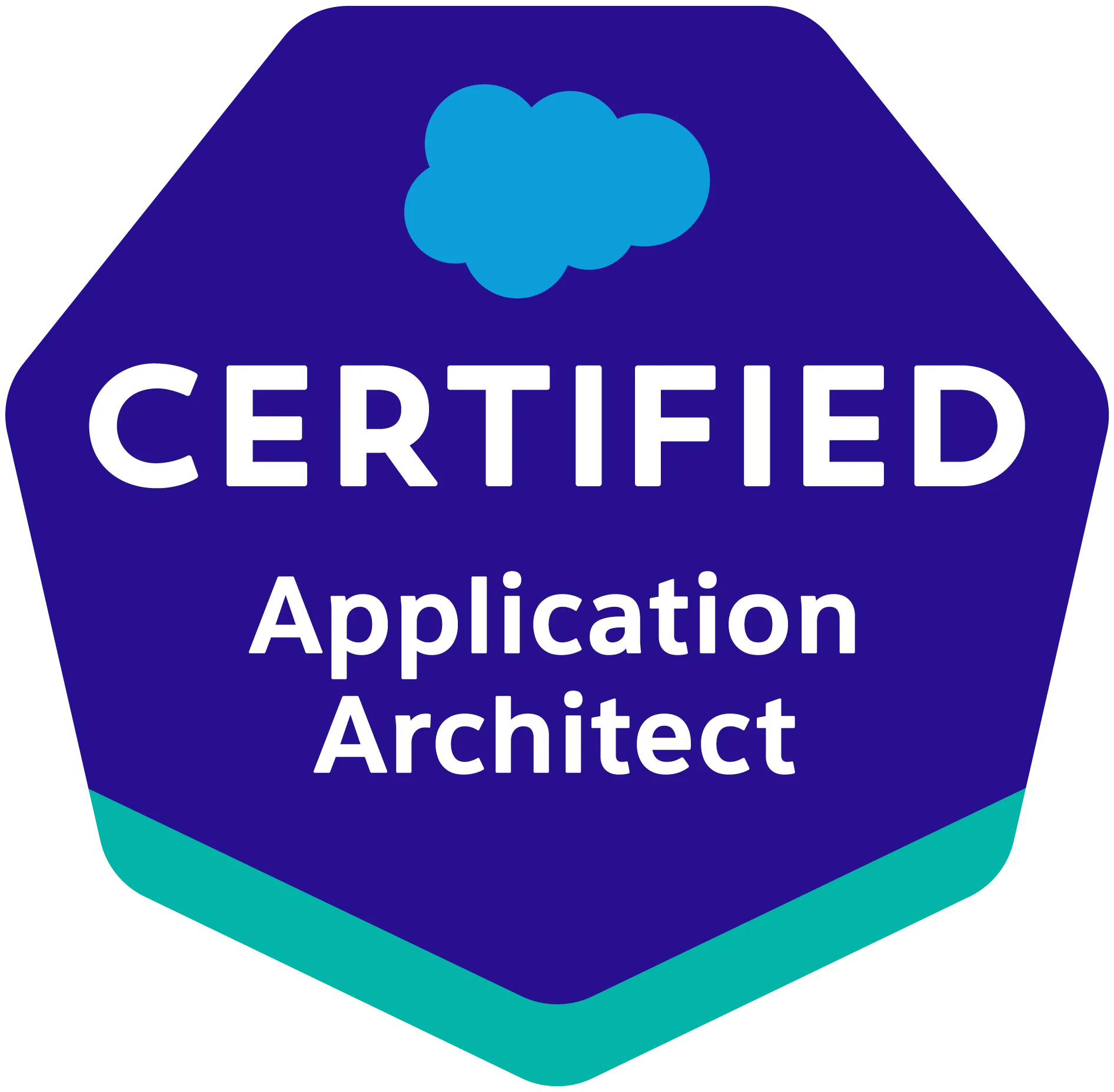 Application Architect