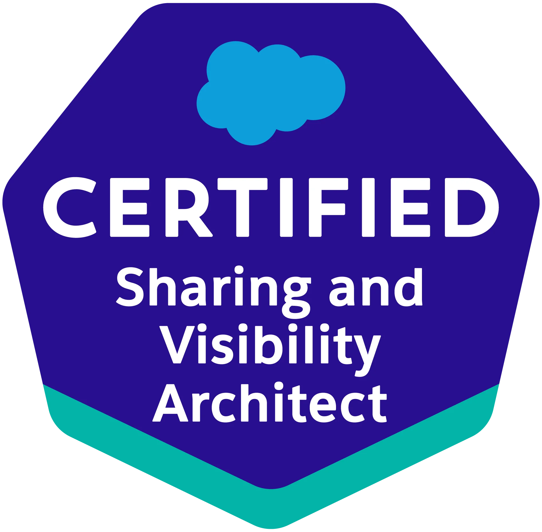 Sharing & Visibility Architect